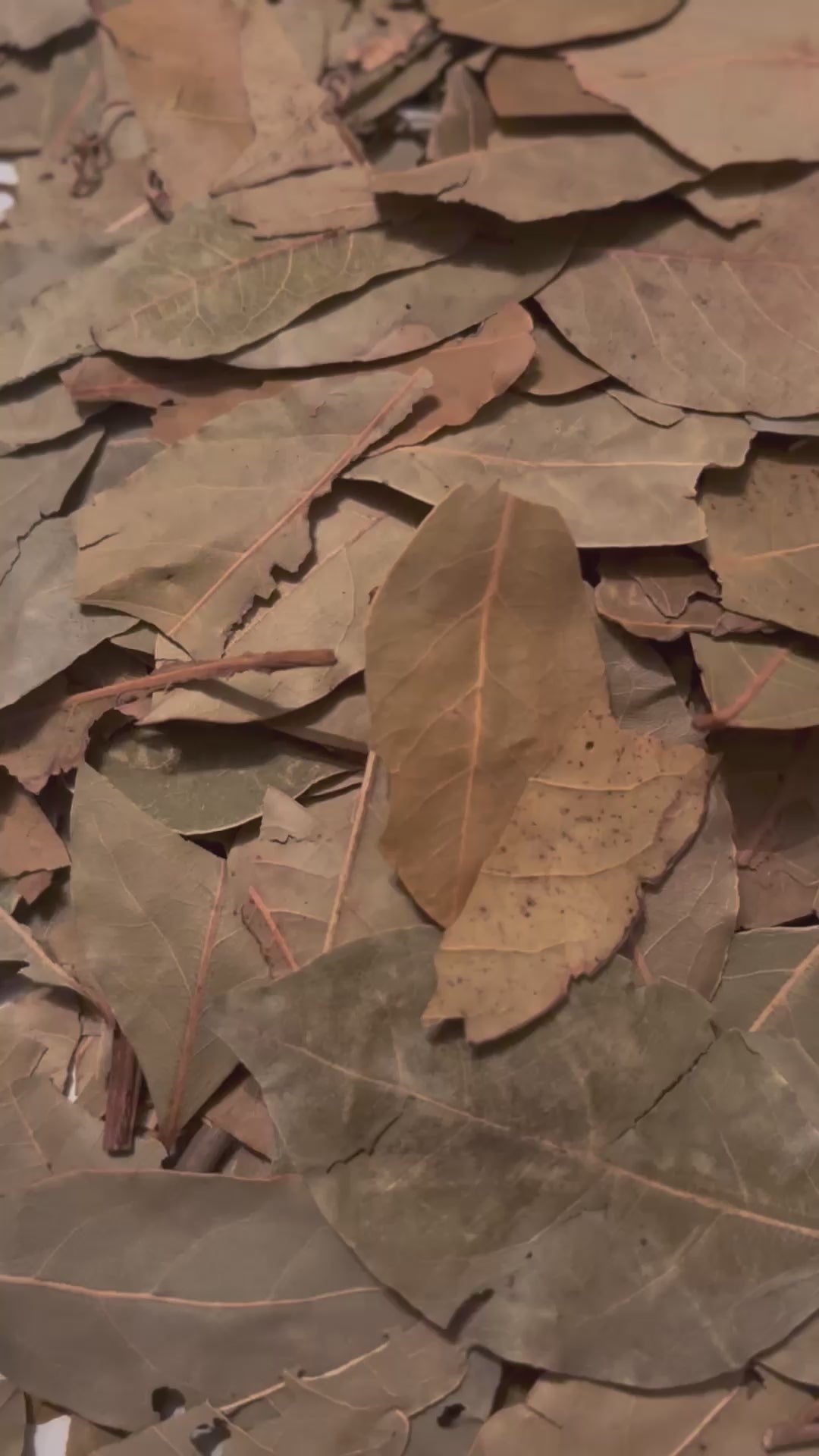 Bay Leaves