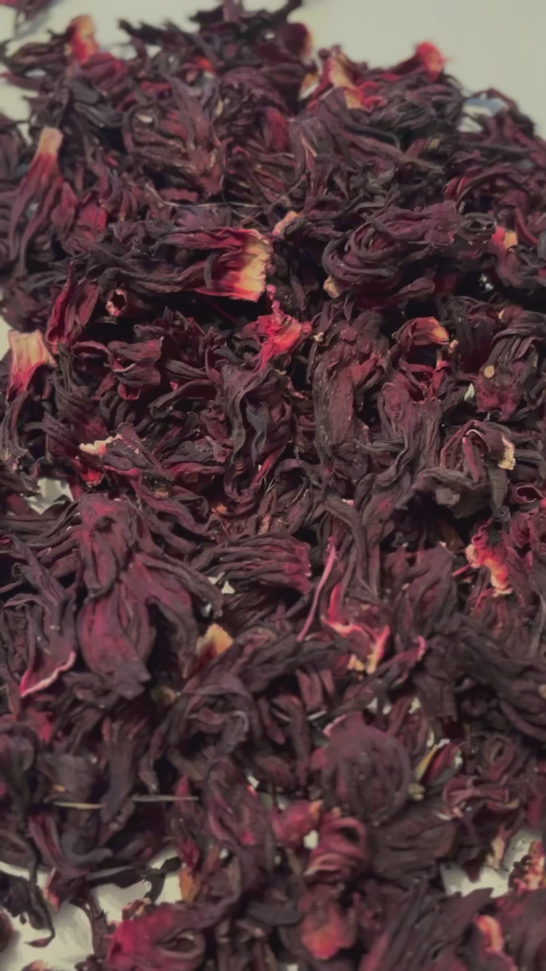 Hibiscus