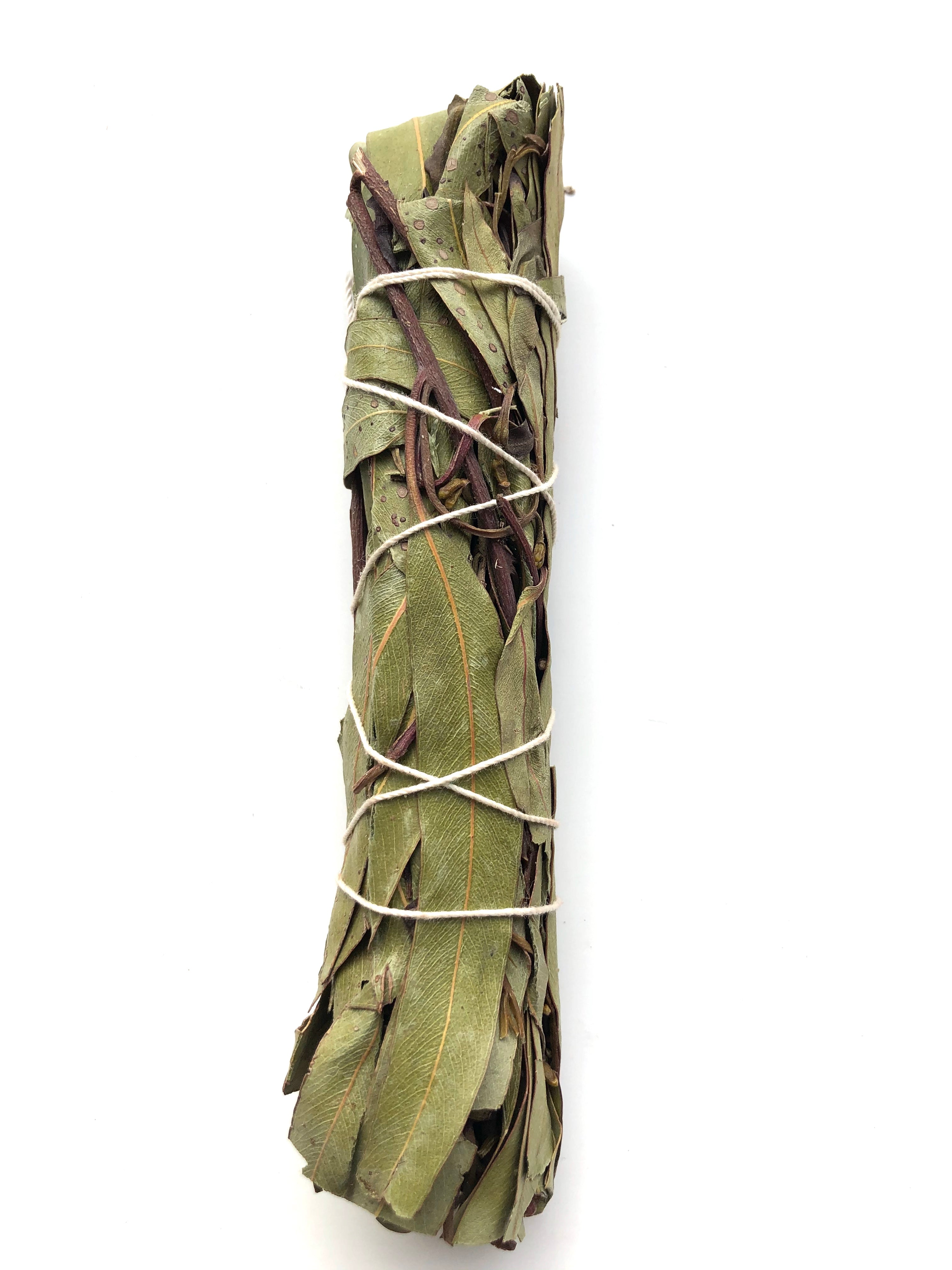 Eucalyptus Smudge Stick